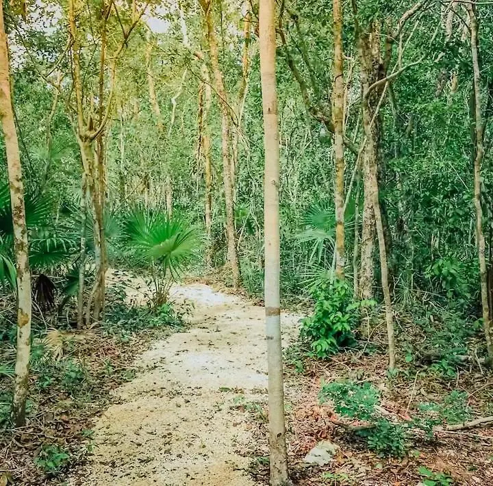 Tulum Jungle Cabins With Plunge Pool