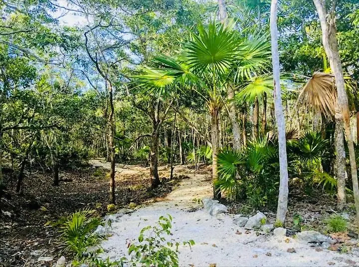 Holiday home Tulum Jungle Cabins With Plunge Pool