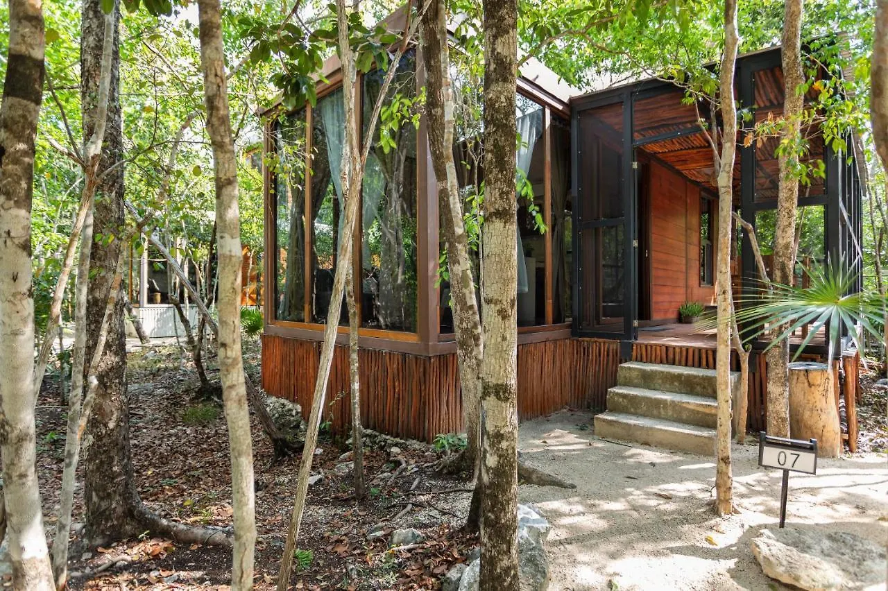 Tulum Jungle Cabins With Plunge Pool Holiday home