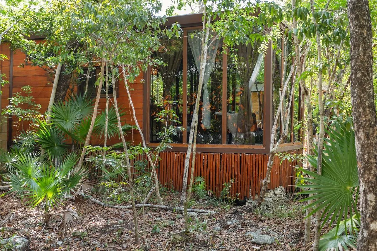 Tulum Jungle Cabins With Plunge Pool Holiday home