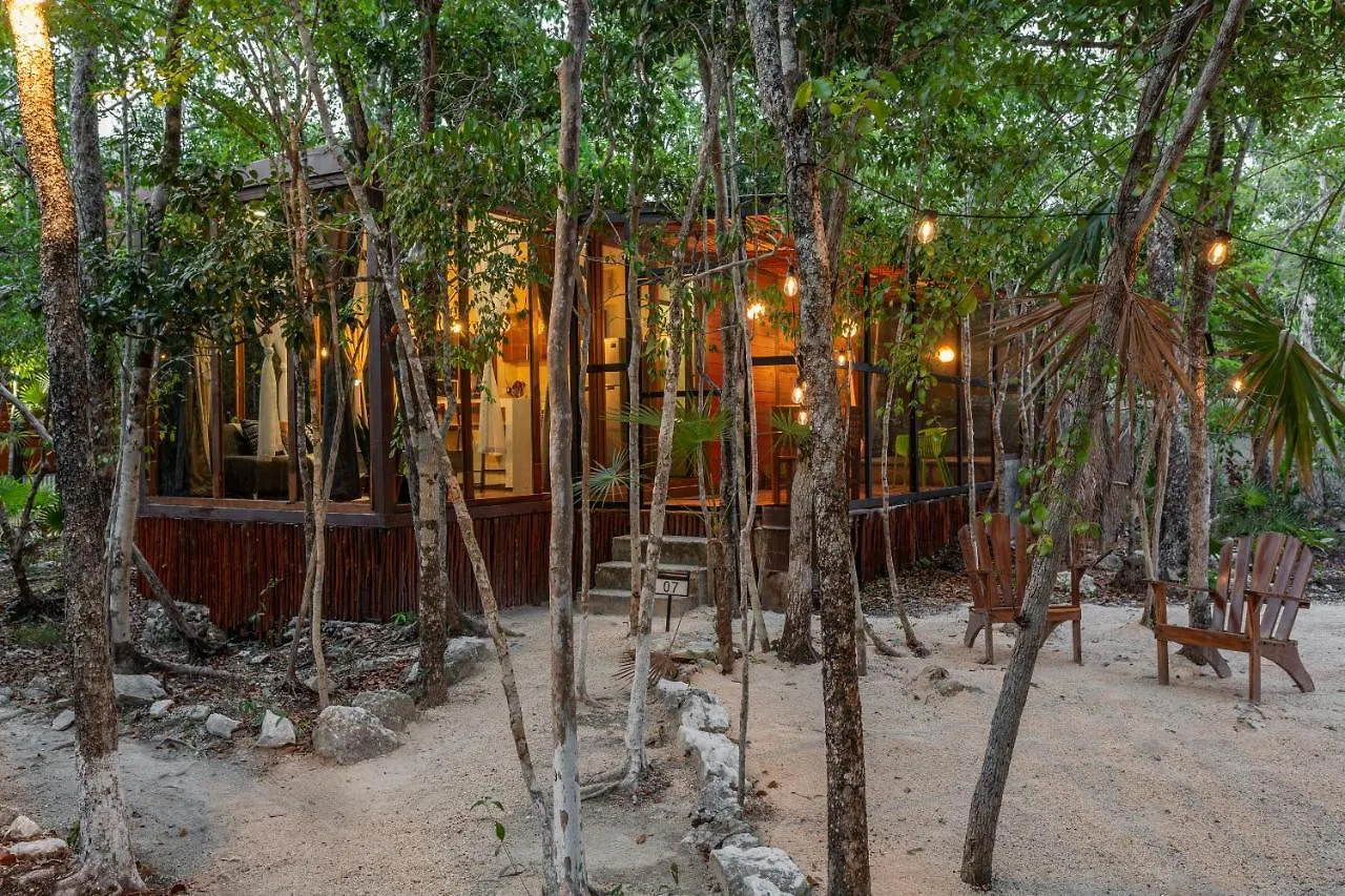 Tulum Jungle Cabins With Plunge Pool 0*,  Mexico